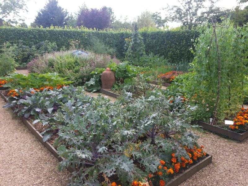 Kitchen Gardens